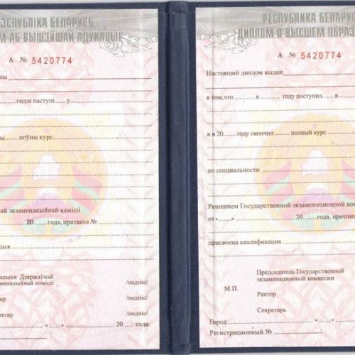Диплом ВУЗ Беларусь 2002-2010
