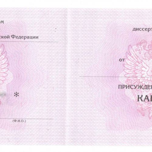 Диплом кандидата наук 2013-2018